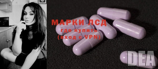 молекула духа Богданович
