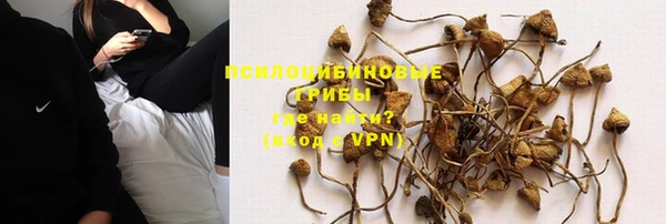 молекула духа Богданович
