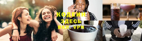 молекула духа Богданович