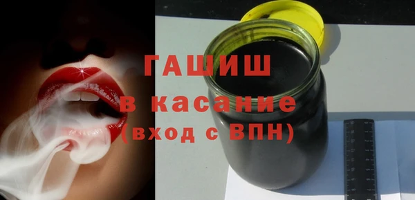 молекула духа Богданович