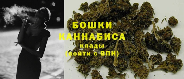 твердый Богородицк