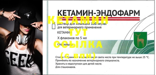 молекула духа Богданович