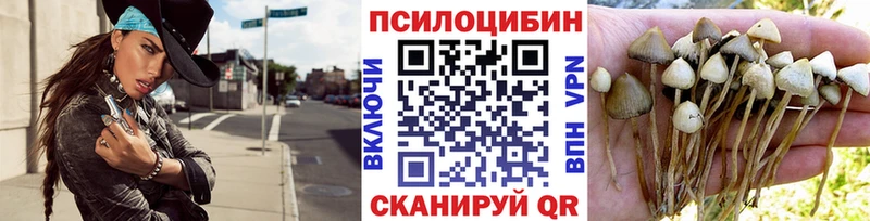 Псилоцибиновые грибы Psilocybe хочу наркоту Балахна
